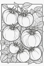 tomato-coloring-1