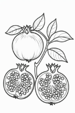 pomegranate-coloring