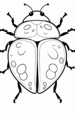 ladybug coloring